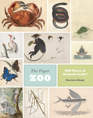 The Paper Zoo: 500 Years of Animals in Art by Sleigh, Charlotte