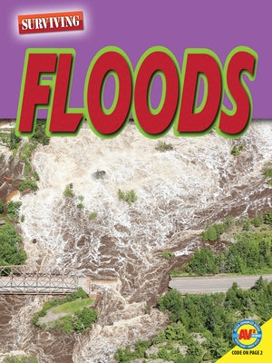 Floods by Ventura, Marne