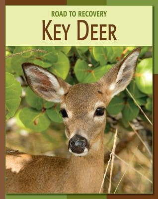 Key Deer by Gray, Susan H.