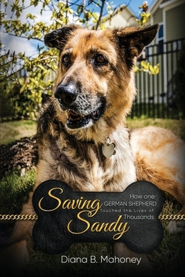 Saving Sandy by Mahoney, Diana B.
