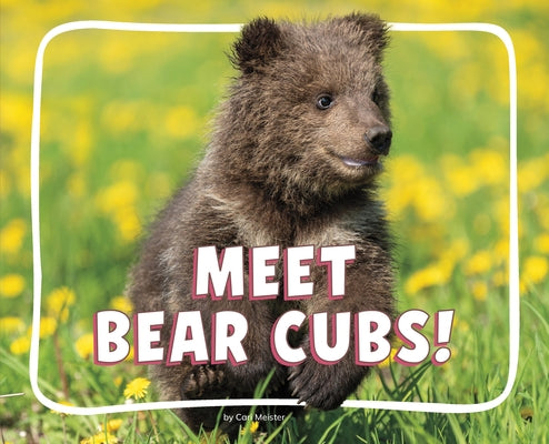 Meet Bear Cubs! by Meister, Cari