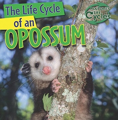 The Life Cycle of an Opossum by Linde, Barbara M.