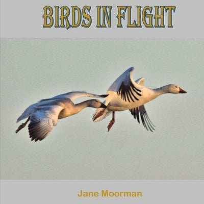 Birds in Flight by Moorman, Jane