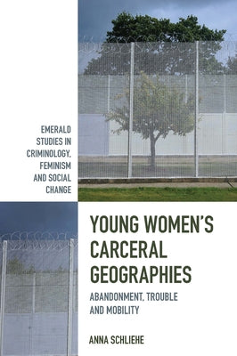 Young Women's Carceral Geographies: Abandonment, Trouble and Mobility by Schliehe, Anna