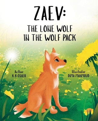 Zaev: A Children's Picture Book About Courage, Self-Confidence, and Embracing What Makes You by Osher, K. B.