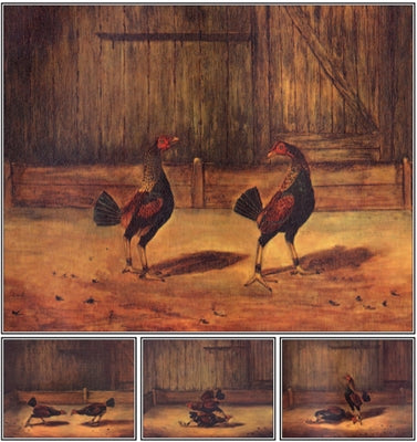 The Breeding and Management of Fighting Cocks by Simpson, Everard