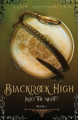 Blackrock High: Into the Night (The Blackrock High Trilogy: Book One) by Woodward, Ashe