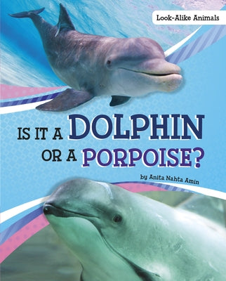 Is It a Dolphin or a Porpoise? by Amin, Anita Nahta