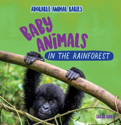 Baby Animals in the Rainforest by Ridley, Sarah