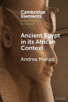 Ancient Egypt in Its African Context: Economic Networks, Social and Cultural Interactions by Manzo, Andrea