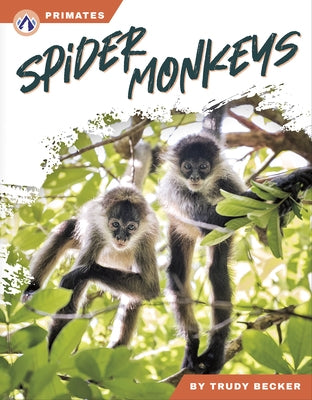 Spider Monkeys by Becker, Trudy