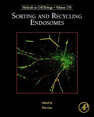 Sorting and Recycling Endosomes: Volume 130 by Guo, Wei