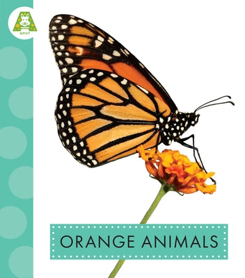 Orange Animals by Golkar, Golriz