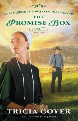 The Promise Box by Goyer, Tricia