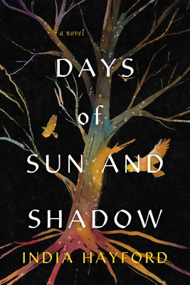 Days of Sun and Shadow by Hayford, India