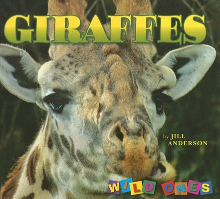 Giraffes by Anderson, Jill
