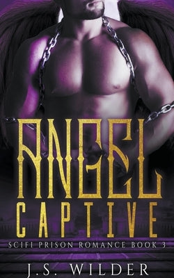 Angel Captive by Wilder, J. S.