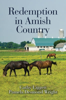 Redemption in Amish Country by Liggett, Cathy