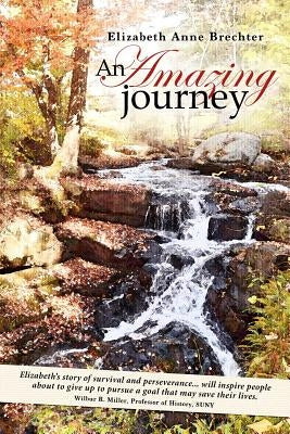 An Amazing Journey by Brechter, Elizabeth Anne