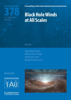 Black Hole Winds at All Scales (Iau S378) by Bruni, Gabriele