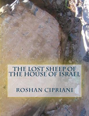 The Lost Sheep Of The House Of Israel by Cipriani, Roshan