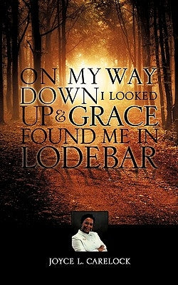 On My Way Down I Looked Up and by Carelock, Joyce L.