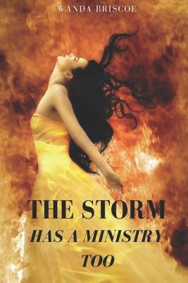 The Storm Has A Ministry Too by Briscoe, Wanda