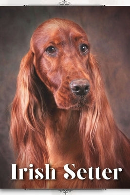 Irish Setter: Dog breed overview and guide by Pustova, Nina