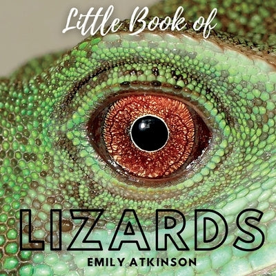 Little Book of Lizards by Atkinson, Emily