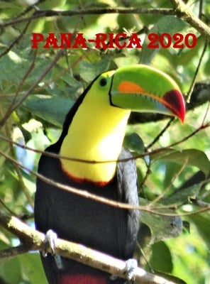 Pana-Rica: Panama and Costa Rica Caught Between Two Oceans by Prince, Tp
