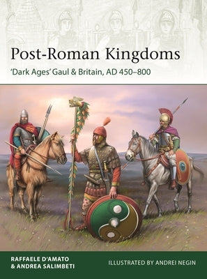 Post-Roman Kingdoms: 'Dark Ages' Gaul & Britain, Ad 450-800 by D'Amato, Raffaele