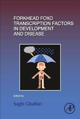 Forkhead Foxo Transcription Factors in Development and Disease: Volume 127 by Ghaffari, Saghi