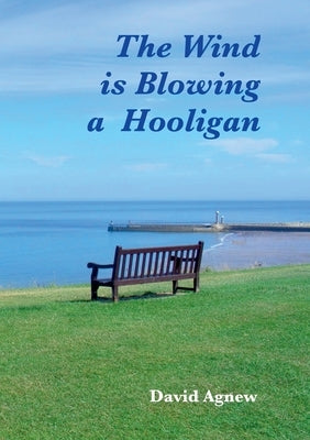 The Wind is Blowing a Hooligan by Agnew, David