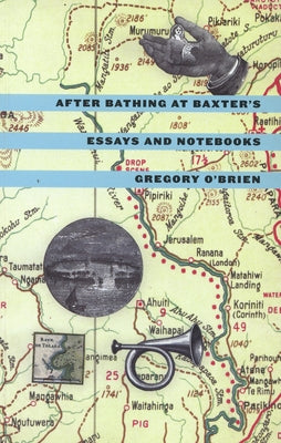 After Bathing at Baxter's: Essays and Notebooks by O'Brien, Gregory