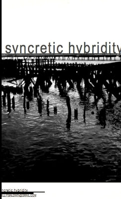 Syncretic Hybridity by Baldwin, Phillip