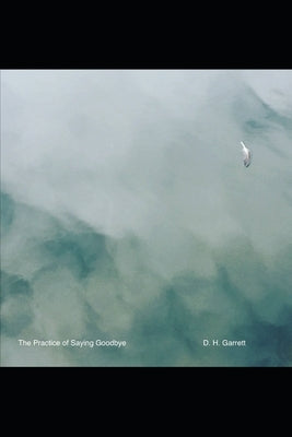 The Practice of Saying Goodbye by Garrett, Daniel H.