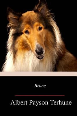 Bruce by Terhune, Albert Payson