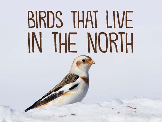 Birds That Live in the North: English Edition by Arvaaq Press