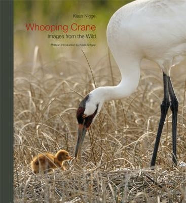 Whooping Crane: Images from the Wild by Nigge, Klaus
