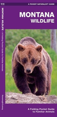 Montana Wildlife: A Folding Pocket Guide to Familiar Animals by Kavanagh, James