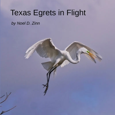 Texas Egrets in Flight by Zinn, Noel D.