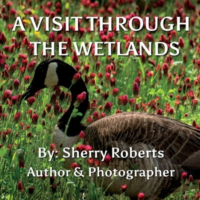 A Visit Through the Wetlands by Roberts, Sherry