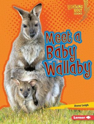 Meet a Baby Wallaby by Leigh, Anna