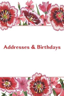 Addresses & Birthdays: Watercolor Red Carnations by Press, Andante