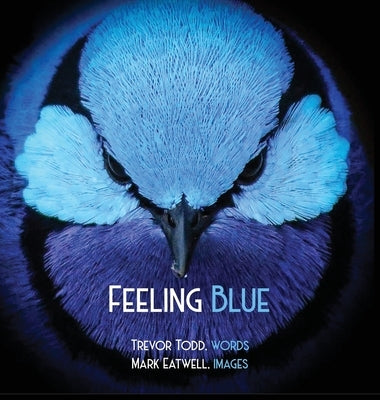 Feeling Blue by Todd, Trevor