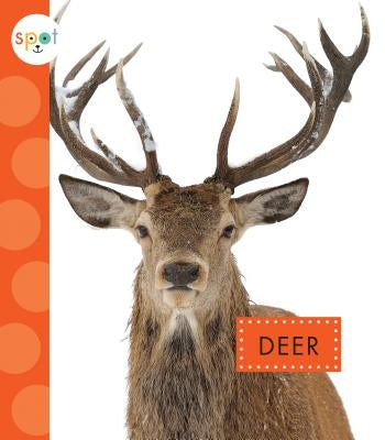 Deer by Schuh, Mari C.