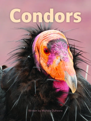 Condors by DuFresne, Michele