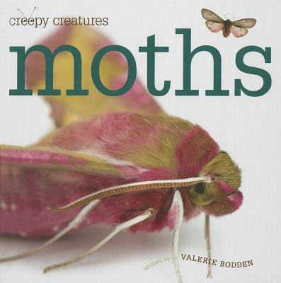 Moths by Bodden, Valerie