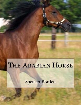 The Arabian Horse by Chambers, Jackson