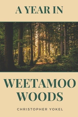A Year in Weetamoo Woods by Yokel, Christopher